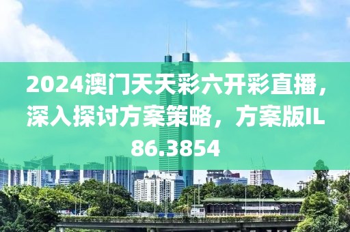 2024澳门天天彩六开彩直播，深入探讨方案策略，方案版IL86.3854