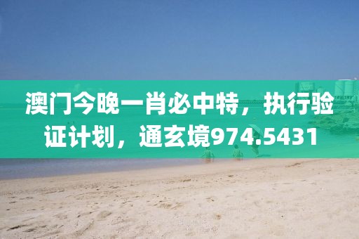 澳门今晚一肖必中特，执行验证计划，通玄境974.5431