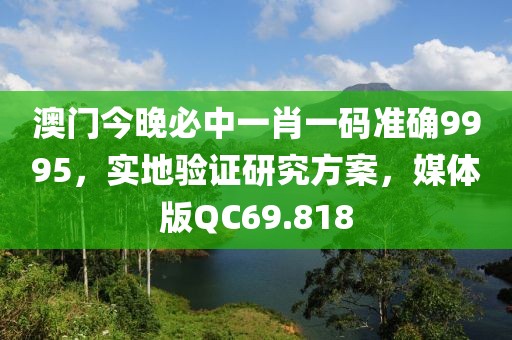 澳门今晚必中一肖一码准确9995，实地验证研究方案，媒体版QC69.818