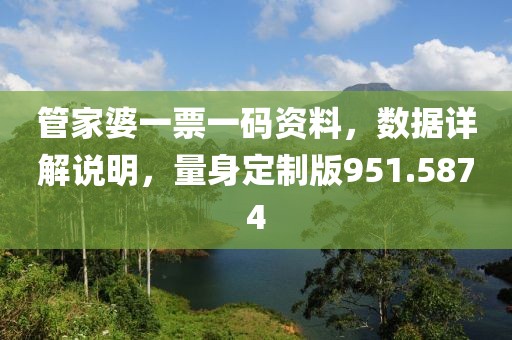 管家婆一票一码资料，数据详解说明，量身定制版951.5874