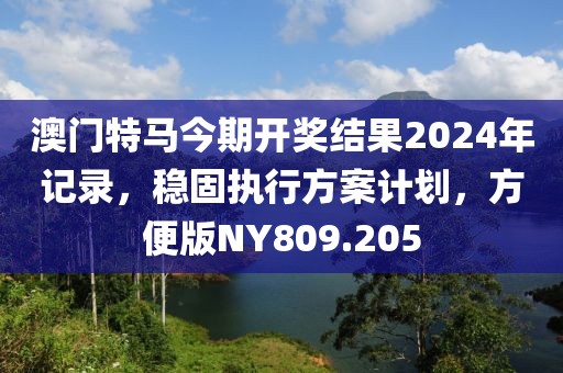 澳门特马今期开奖结果2024年记录，稳固执行方案计划，方便版NY809.205