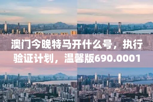 澳门今晚特马开什么号，执行验证计划，温馨版690.0001