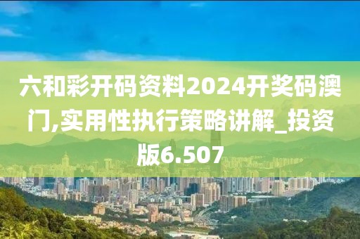 六和彩开码资料2024开奖码澳门,实用性执行策略讲解_投资版6.507