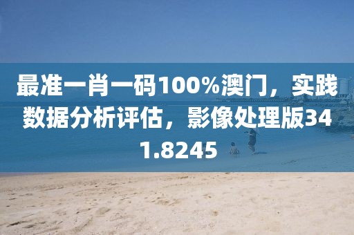 最准一肖一码100%澳门，实践数据分析评估，影像处理版341.8245