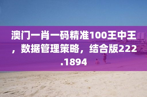 澳门一肖一码精准100王中王，数据管理策略，结合版222.1894