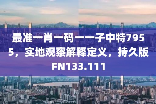 最准一肖一码一一子中特7955，实地观察解释定义，持久版FN133.111