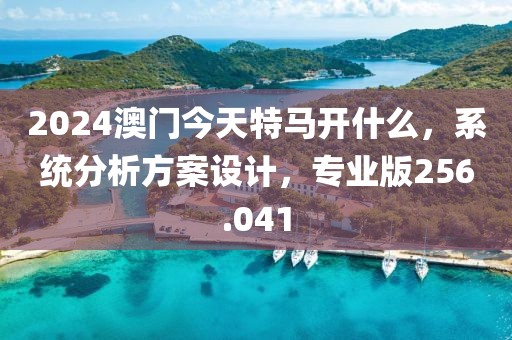 2024澳门今天特马开什么，系统分析方案设计，专业版256.041