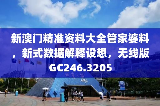 新澳门精准资料大全管家婆料，新式数据解释设想，无线版GC246.3205