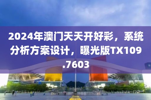 2024年澳门天天开好彩，系统分析方案设计，曝光版TX109.7603