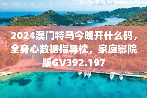2024澳门特马今晚开什么码，全身心数据指导枕，家庭影院版GV392.197