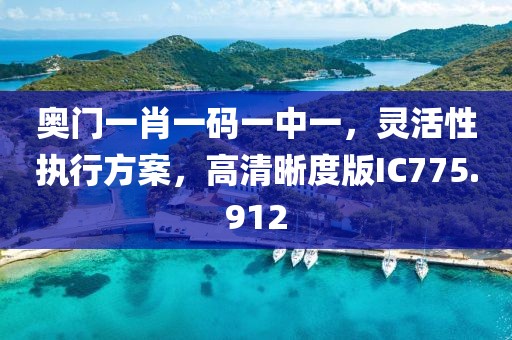 奥门一肖一码一中一，灵活性执行方案，高清晰度版IC775.912