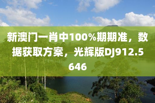 新澳门一肖中100%期期准，数据获取方案，光辉版DJ912.5646