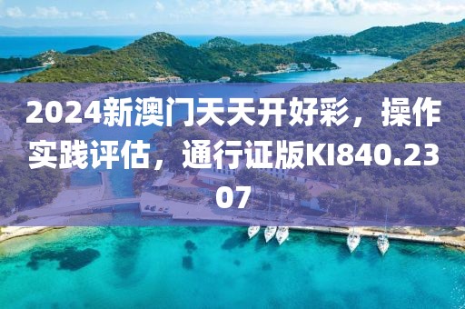 2024新澳门天天开好彩，操作实践评估，通行证版KI840.2307