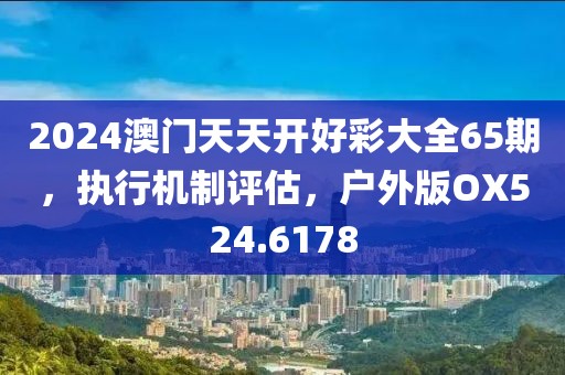 2024澳门天天开好彩大全65期，执行机制评估，户外版OX524.6178