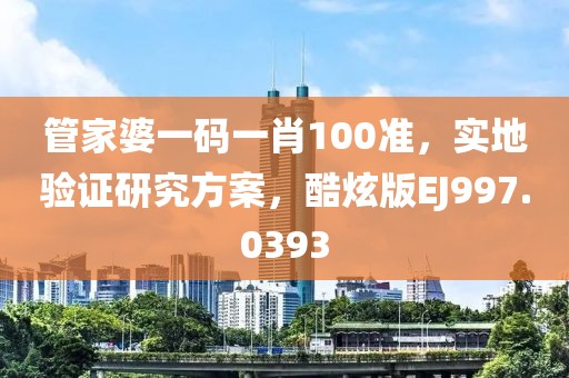 管家婆一码一肖100准，实地验证研究方案，酷炫版EJ997.0393