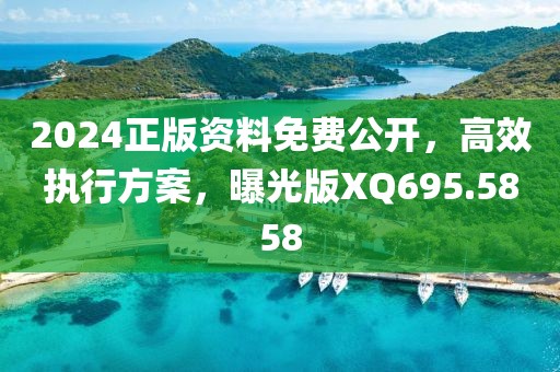 2024正版资料免费公开，高效执行方案，曝光版XQ695.5858