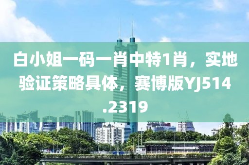 白小姐一码一肖中特1肖，实地验证策略具体，赛博版YJ514.2319