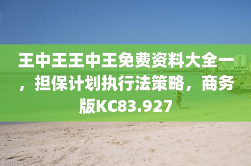 王中王王中王免费资料大全一，担保计划执行法策略，商务版KC83.927