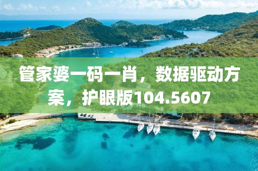 管家婆一码一肖，数据驱动方案，护眼版104.5607