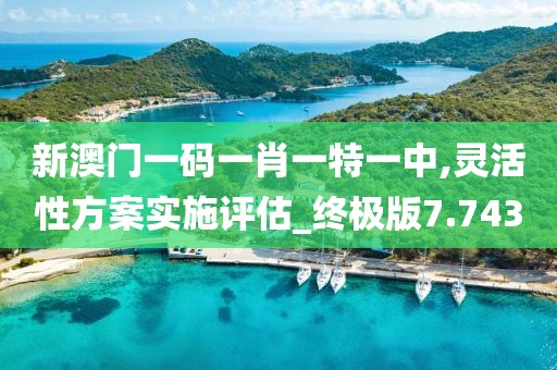 新澳门一码一肖一特一中,灵活性方案实施评估_终极版7.743