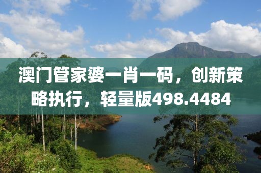澳门管家婆一肖一码，创新策略执行，轻量版498.4484