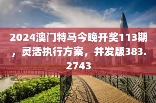 2024澳门特马今晚开奖113期，灵活执行方案，并发版383.2743
