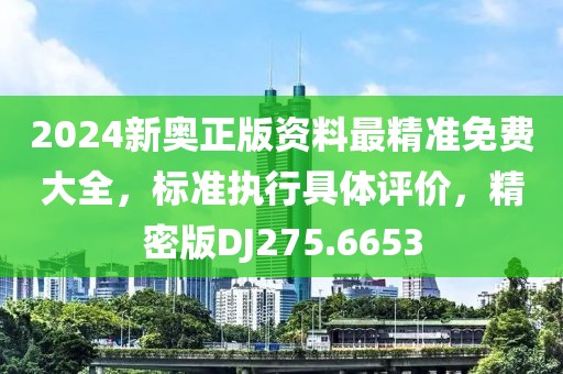 2024新奥正版资料最精准免费大全，标准执行具体评价，精密版DJ275.6653
