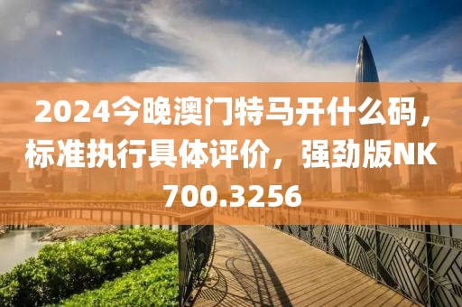 2024今晚澳门特马开什么码，标准执行具体评价，强劲版NK700.3256