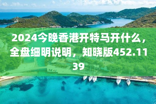 2024今晚香港开特马开什么，全盘细明说明，知晓版452.1139