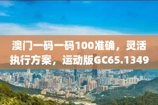 澳门一码一码100准确，灵活执行方案，运动版GC65.1349