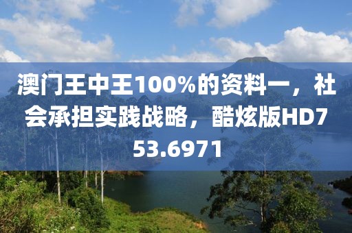 澳门王中王100%的资料一，社会承担实践战略，酷炫版HD753.6971