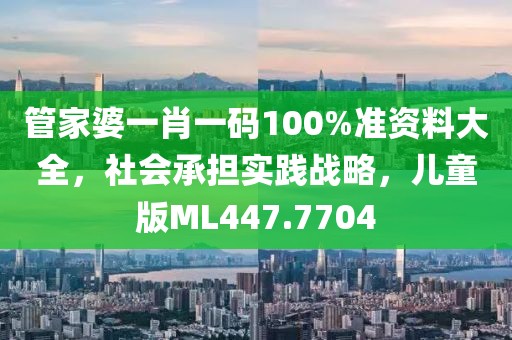 管家婆一肖一码100%准资料大全，社会承担实践战略，儿童版ML447.7704