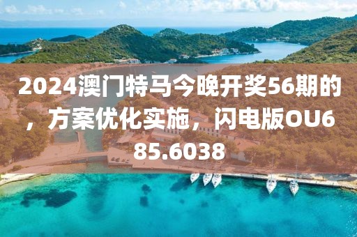 2024澳门特马今晚开奖56期的，方案优化实施，闪电版OU685.6038