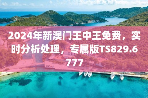 2024年新澳门王中王免费，实时分析处理，专属版TS829.6777