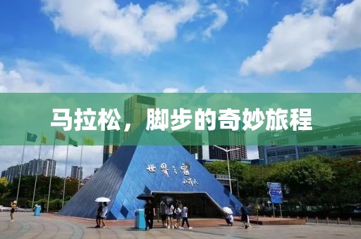 2024年11月 第438页
