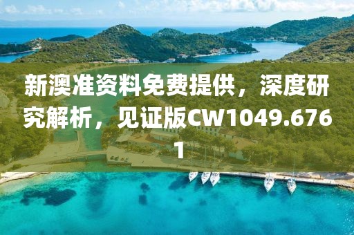 新澳准资料免费提供，深度研究解析，见证版CW1049.6761