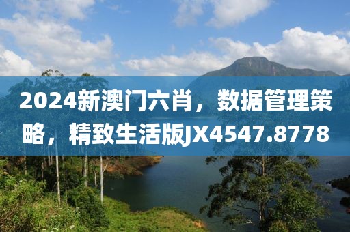 2024新澳门六肖，数据管理策略，精致生活版JX4547.8778