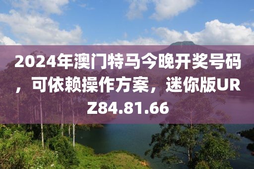 2024年澳门特马今晚开奖号码，可依赖操作方案，迷你版URZ84.81.66