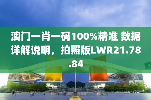 澳门一肖一码100%精准 数据详解说明，拍照版LWR21.78.84