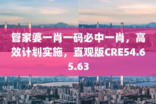 管家婆一肖一码必中一肖，高效计划实施，直观版CRE54.65.63