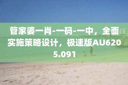 管家婆一肖-一码-一中，全面实施策略设计，极速版AU6205.091