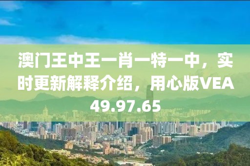 澳门王中王一肖一特一中，实时更新解释介绍，用心版VEA49.97.65