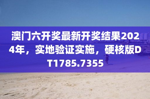 澳门六开奖最新开奖结果2024年，实地验证实施，硬核版DT1785.7355