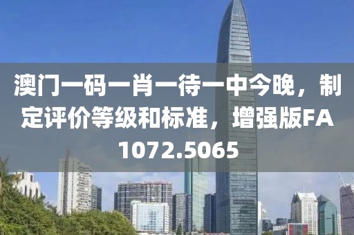 澳门一码一肖一待一中今晚，制定评价等级和标准，增强版FA1072.5065