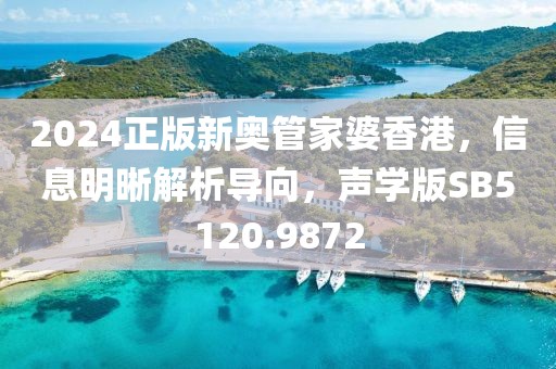 2024正版新奥管家婆香港，信息明晰解析导向，声学版SB5120.9872
