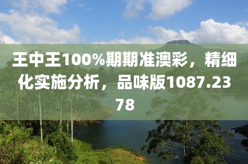 王中王100%期期准澳彩，精细化实施分析，品味版1087.2378