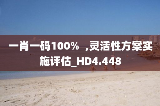 一肖一码100%  ,灵活性方案实施评估_HD4.448