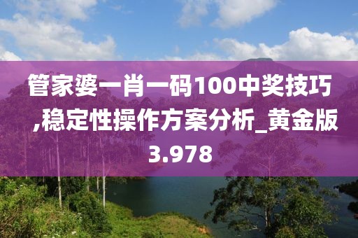 管家婆一肖一码100中奖技巧  ,稳定性操作方案分析_黄金版3.978
