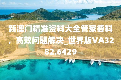 新澳门精准资料大全管家婆料，高效问题解决_世界版VA3282.6429