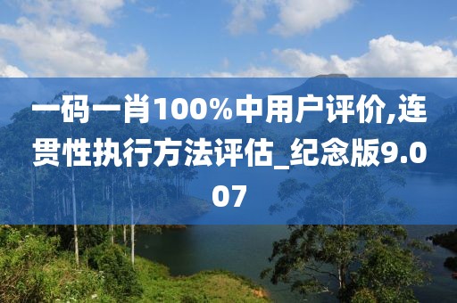 一码一肖100%中用户评价,连贯性执行方法评估_纪念版9.007